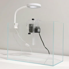 Whalix Nano Aquarium Kit : éclairage DEL 360° pour sublimer les poissons.