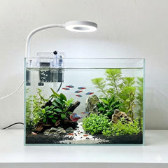 Whalix Nano Aquarium Kit : vue nette du verre sans rebord.