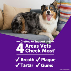 Whimzees Alligator – ingrédients naturels et sans additifs artificiels