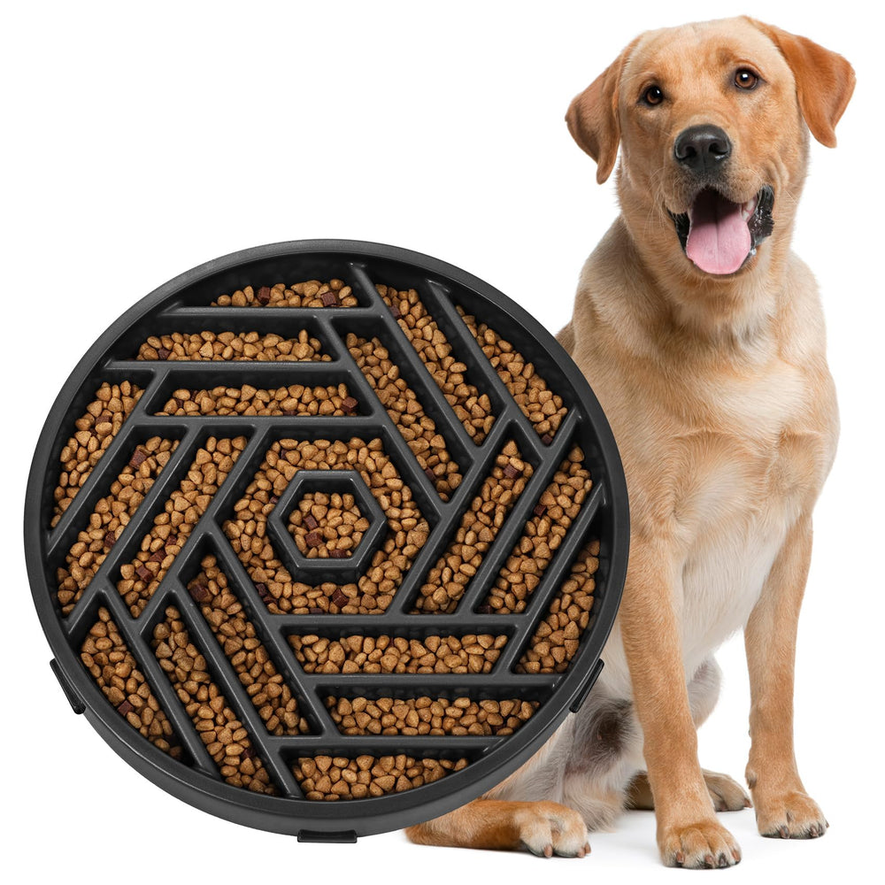 WHIPPY bol slow-feeder puzzle chien, vue avant: encourage le jeu et ralentit l'ingestion.
