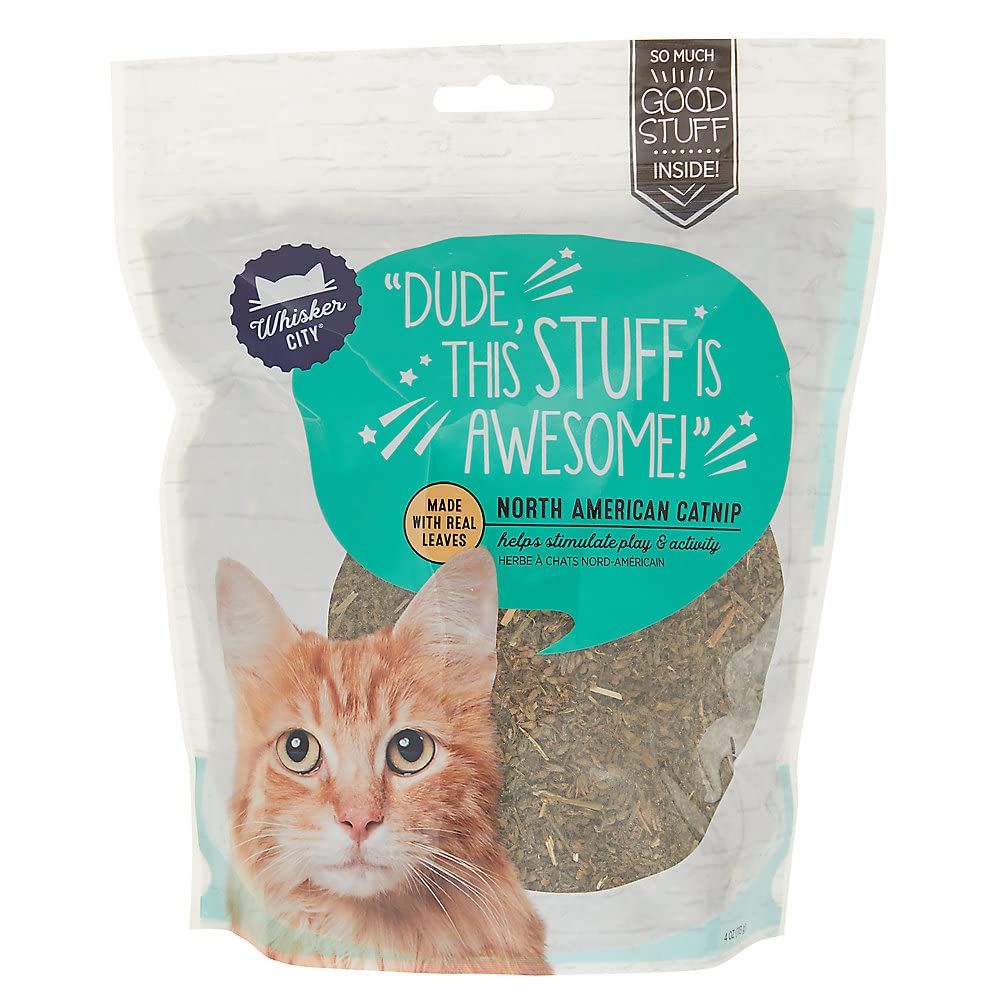Whisker City sachet d'herbe à chat nord-américaine, prêt à libérer l’arôme.