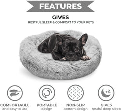 Lit pour petit chien Whiskers & Friends, rebords surélevés pour soutien tête et cou