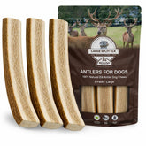 Whitetail Naturals - Corne d'elan tranchee grand gros plan, texture naturelle pour mastication intense.