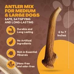WhiteTail Naturals corne de cerf naturelle, origine Texas.