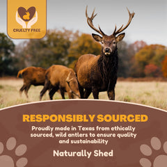 WhiteTail Naturals cornes de cerf entières et coupées, adaptées aux chiens moyens et grands.