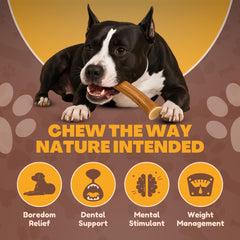 WhiteTail Naturals cornes de cerf sans additifs, friandises naturelles et responsables.