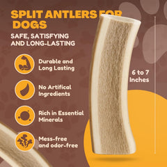Whitetail Naturals cornes de cerf âgées au soleil, texture plus douce pour chiens.