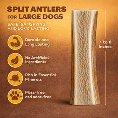 WhiteTail Naturals corn es elan fendues, longueur 6-7 pouces, supporte la mastication forte