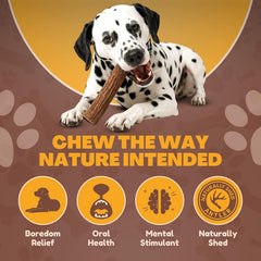 WhiteTail Naturals os de cerf naturel sans additifs.