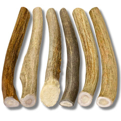 Ramures de cerf WhiteTail Naturals, pièces entières et coupe à la main.
