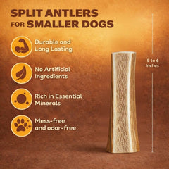 WhiteTail Naturals os-elan-fendu-pour-chien, alternative propre et durable au mastiquage.