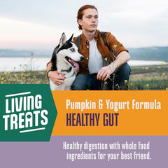 Probiotiques vivants inclus pour soutenir la digestion canine.