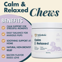 Wholistic Pet Organics – chien reposant dans son lit après une bouchée