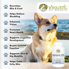 Soutien articulations et mobilité avec Wholistic Pet Organics huile saumon