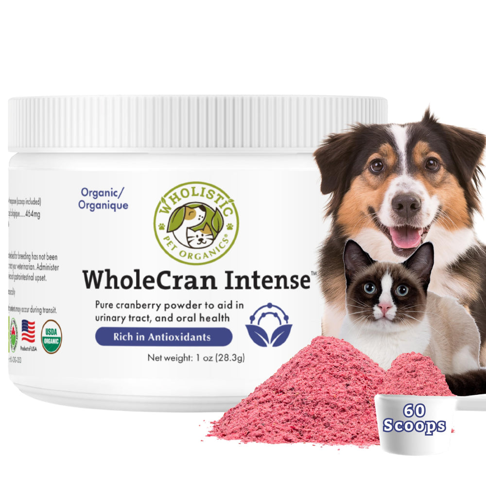 Wholistic Pet Organics canneberge poudre : soutien potentiel des voies urinaires.