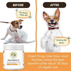 Wholistic Pet Organics Ester-C Poudre—soutien immunitaire pour chiens et chats.