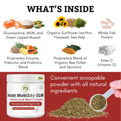Wholistic Pet Organics glucosamine-chondroitine: soutien articulation et confort quotidien.