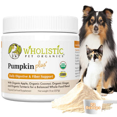Wholistic Pet Organics Poudre Citrouille – emballage pratique et soutien digestif naturel