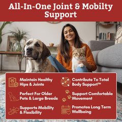 Wholistic Pet Organics poudre: mélange facile avec nourriture pour administration simple.