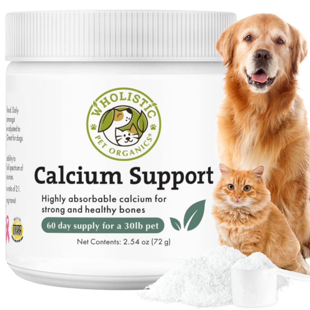 Wholistic Pet Organics Pure Powder Calcium – Bouteille et texture fine, soutient des os et des dents.