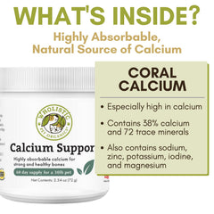 Wholistic Pet Organics Pure Powder Calcium – Mélange facile dans l’alimentation des chiens et chats.