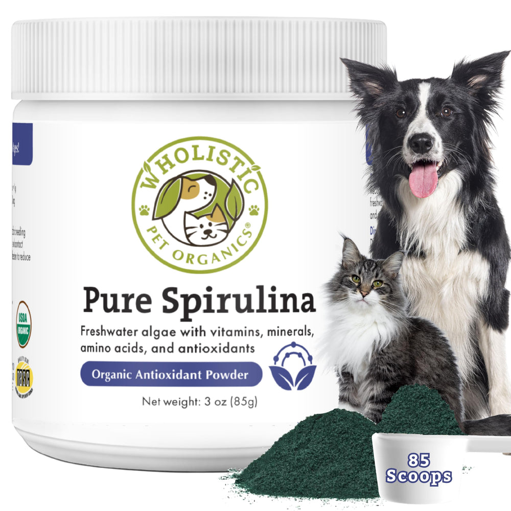 Wholistic Pet Organics Spiruline poudre: flacon pratique pour chiens et chats, énergie naturelle.