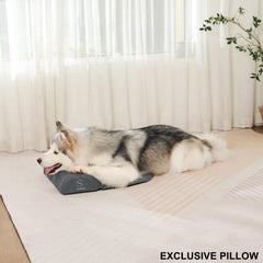 Whoopub coussin bolster chien XL offre un soutien cervical potentiel pendant le repos.