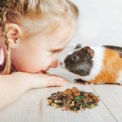 Wild Harvest P-84127: accessoire ludique pour encourager la mastication et l'exploration.