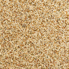 Wild Harvest Daily Blend Saveur Orange – arôme agréable qui stimule l'appétit des oiseaux.