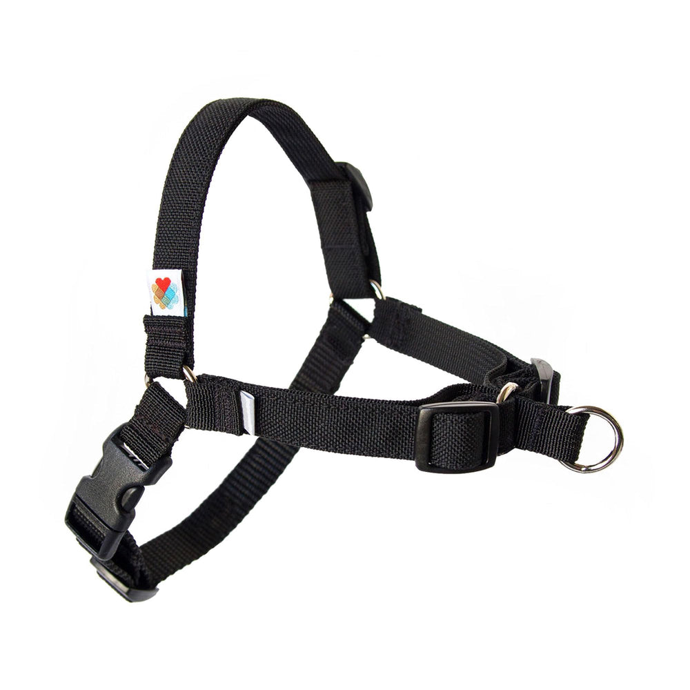 Harnais Wildebeest anti-tirage avec clip avant, contrôle doux lors des promenades.