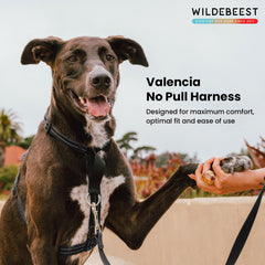Wildebeest Valencia harnais sans tir arrière pour marche polyvalente.