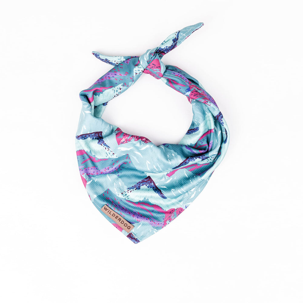 Bandana Wilderdog Alpenglow porté par un chien, aspect lumineux et confort durable en plein air.