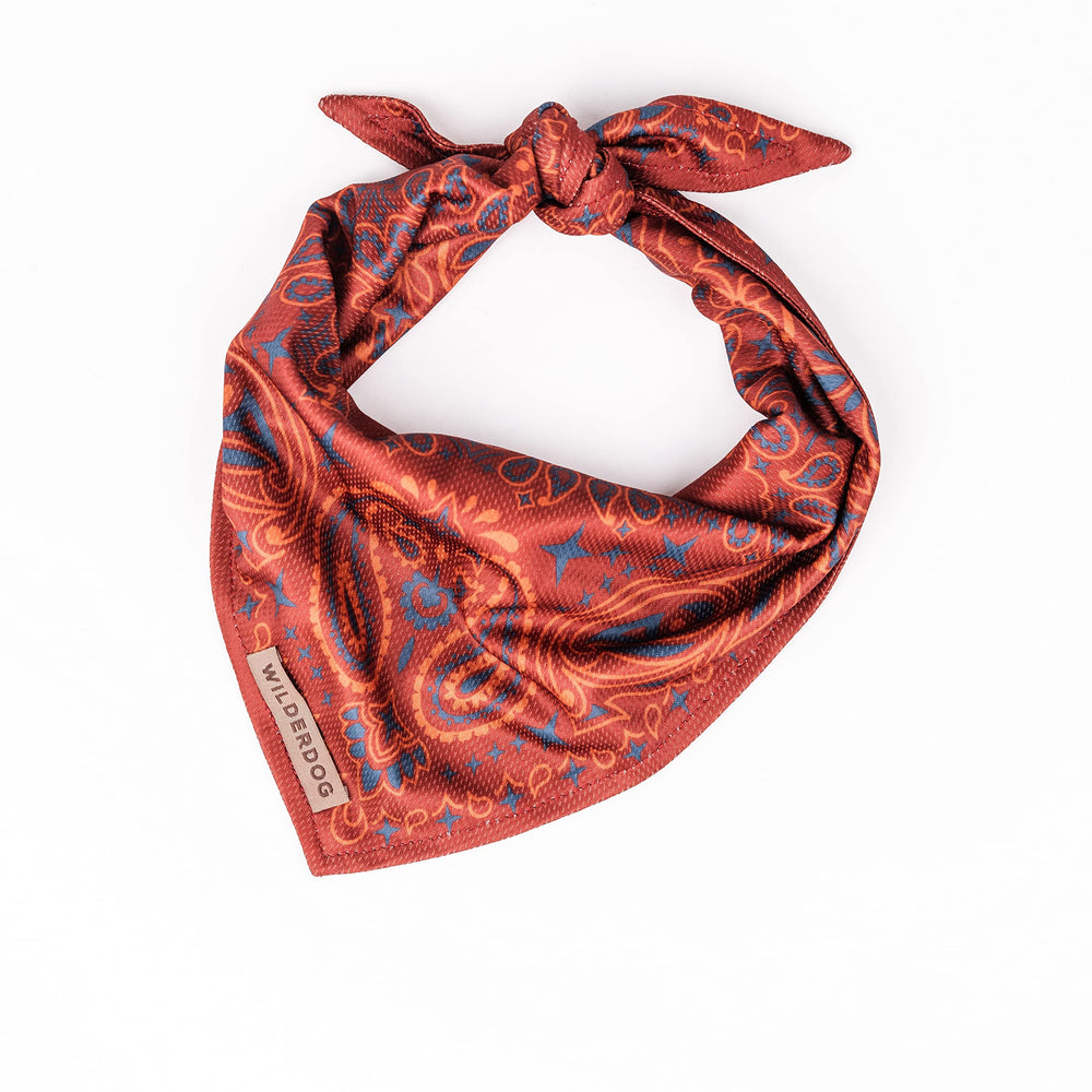 Bandana Wilderdog en mesh léger, prêt pour un séchage rapide après la promenade.