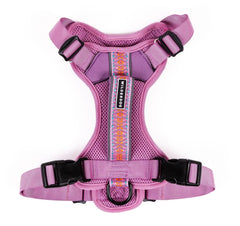 Harnais Wilderdog léger et réfléchissant lilas pour balades quotidiennes en sécurité.