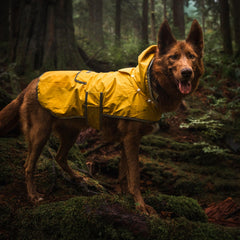 Manteau Wilderdog pliable dans la poche dorsale pratique à transporter