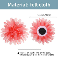 Willbond boucles fleurs multicolores pour collier chat, costume mignon et sûr.