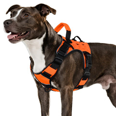 Harnais Wingoin pour chien moyen au design orange, confort et sécurité lors des promenades.