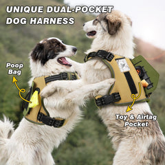 Harnais WINGOIN avec bandes réfléchissantes pour sorties nocturnes visibles.