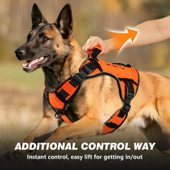 Wingoin harnais tactique pour chien grand – vue dos, poignée robuste pour le contrôle.