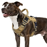 Wingoin harnais tactique chien moyen – confort et durabilité lors des sorties