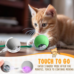 WinnerWhy Balle chat interactive en mouvement, évite les obstacles pour un jeu continu.