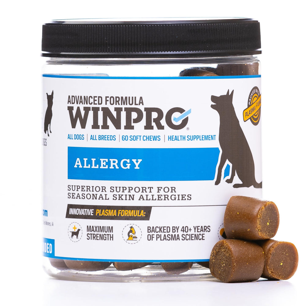 WINPRO Allergy Chews — bouteille avec friandises molles, soutien potentiel de la peau du chien.