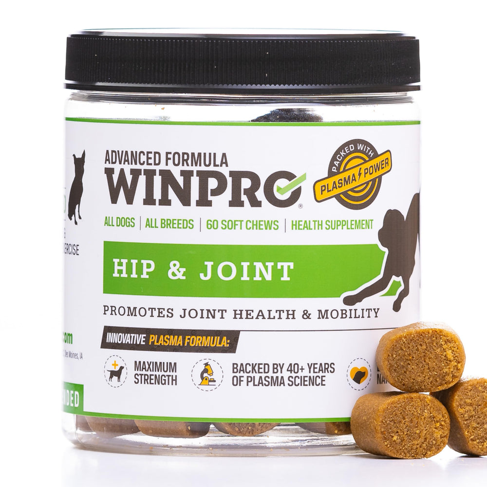 WINPRO bouchées molles pour chiens, soutien des hanches et mobilité.