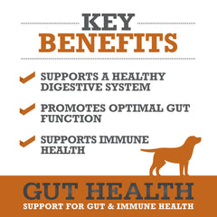 WINPRO Chien formule plasma puissante pour immunité et bien-être intestinal.