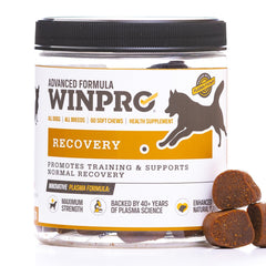 WINPRO Recovery Soft Chews en bocal, friandise savoureuse pour récupération après l'exercice.