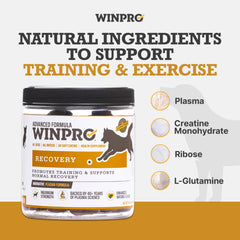 Ingrédients clés de WINPRO Recovery: glutamine, créatine et ribose pour le soutien.