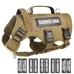 WINSEE gilet-service-chien: système MOLLE et patches, pratique pour accessoires.