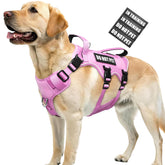 WINSEE harnais anti‑évasion pour chien, sécurité renforcée lors des promenades.