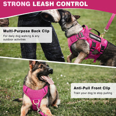 WINSEE harnais chien moyen avec boucles métalliques, sécurité renforcée en entraînement.