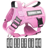 harnais winsee pour chien moyen avec molle, pratique pour équipements lors des sorties.